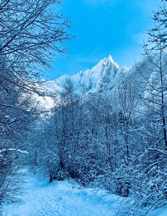 Forêt et montagne Chamonix